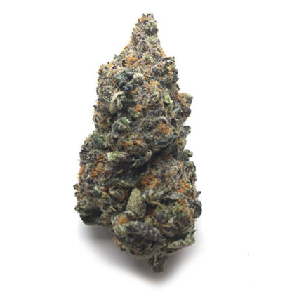 Girl Scout Cookies