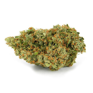 Jack Herer