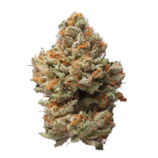 Key Lime Pie