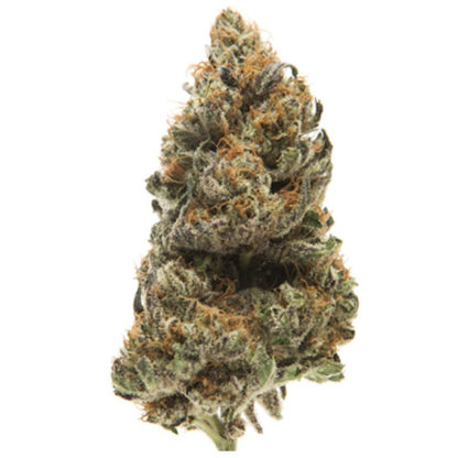 Phantom Cookies