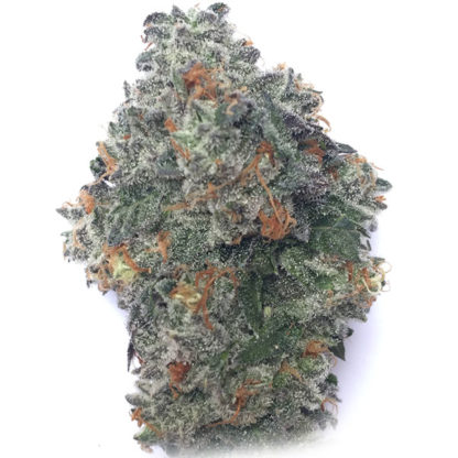 Platinum OG