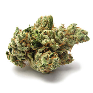 SFV OG