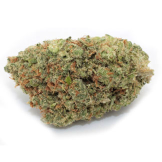 Jack Wreck