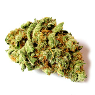 Tahoe OG